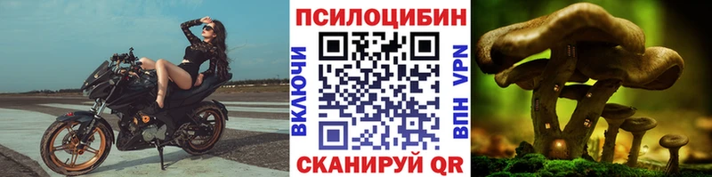 гидра вход Хадыженск Галлюциногенные грибы Psilocybine cubensis